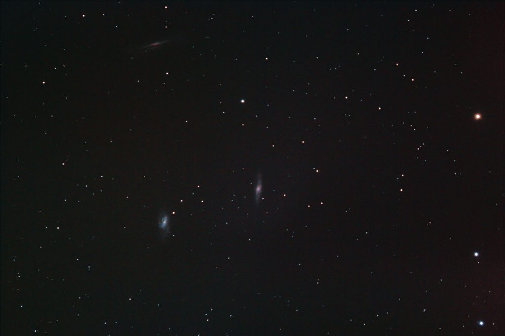 Leo Triplet - 2011-02-12 - Tim Schuh